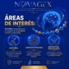 Infografía de Selank 11 mg de NovaGex: mecanismo de acción y aplicaciones en investigación — imagen 4 de 5