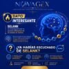 Infografía de Selank 11 mg de NovaGex: mecanismo de acción y aplicaciones en investigación — imagen 5 de 5